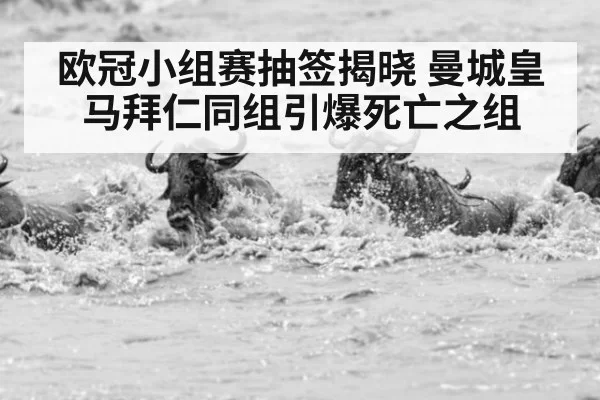欧冠小组赛抽签揭晓 曼城皇马拜仁同组引爆死亡之组