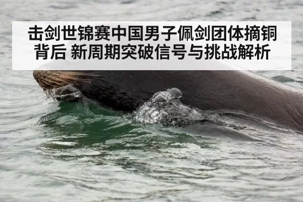 击剑世锦赛中国男子佩剑团体摘铜背后 新周期突破信号与挑战解析